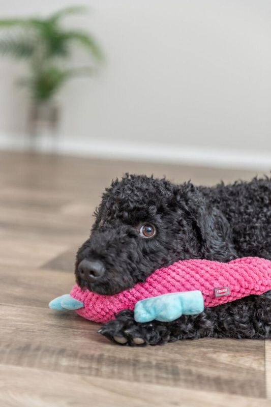 Trixie Seahorse
