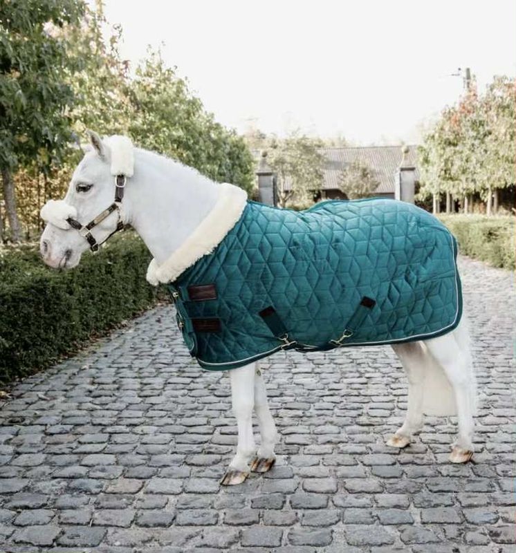 Kentucky Show Rug Velvet