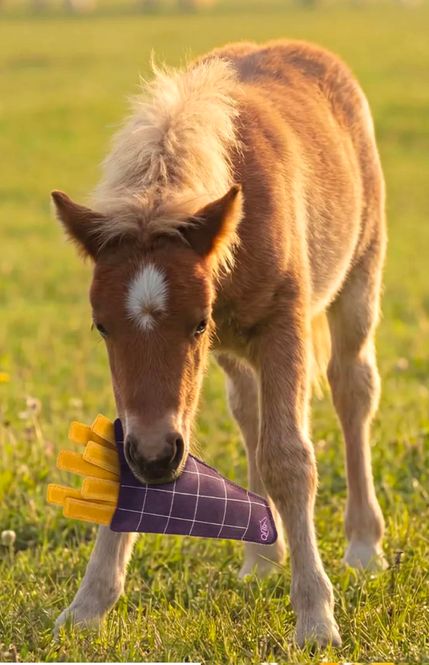Hovedbilde QHP Horse Toy Snackcounter Fries