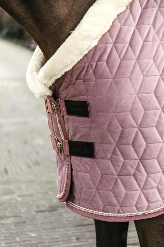 Kentucky Show Rug Velvet