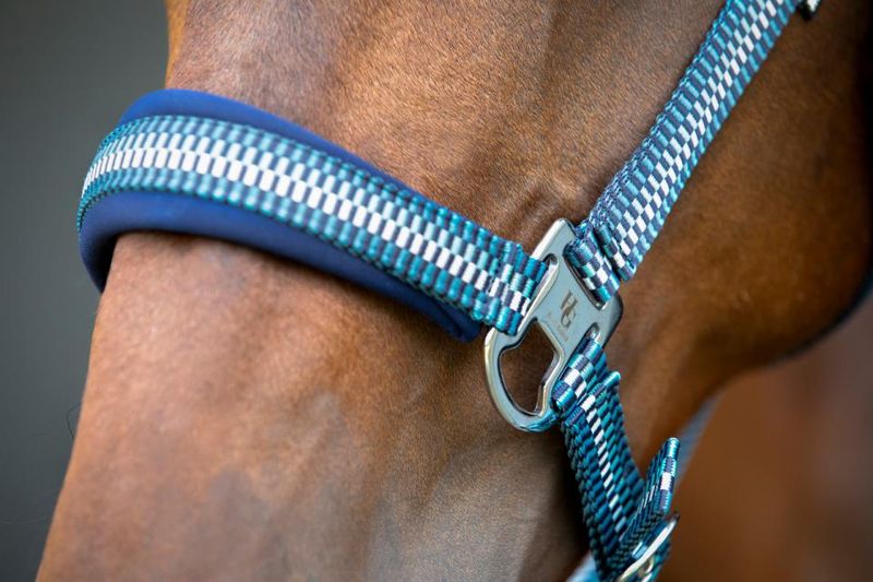 HorseGuard Cole Grime