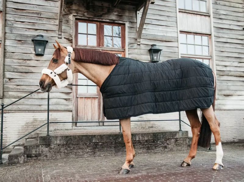 Kentucky Under Rug Skin Friendly 150gr