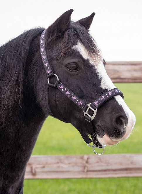 Hovedbilde QHP Head Collar Lize