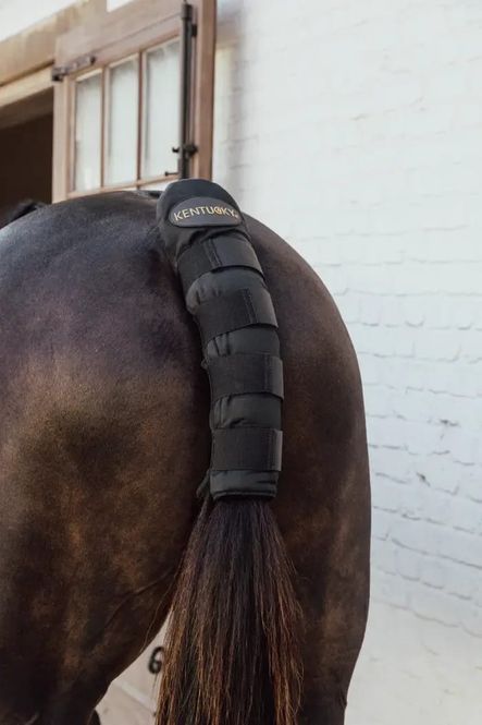 Hovedbilde Kentucky Tailguard Pro