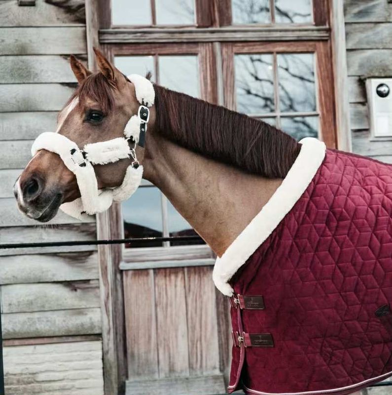 Kentucky Show Rug Velvet