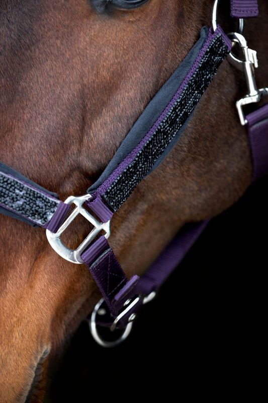HorseGuard Angel Grime m/Glitter