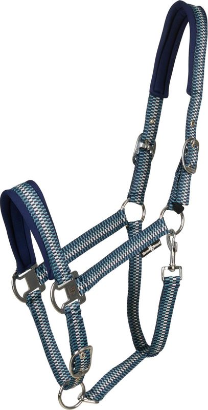 HorseGuard Cole Grime