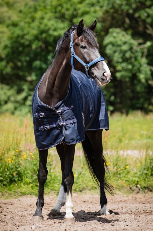 Horse Guard Landon 1200D Turnout Dekken 200g