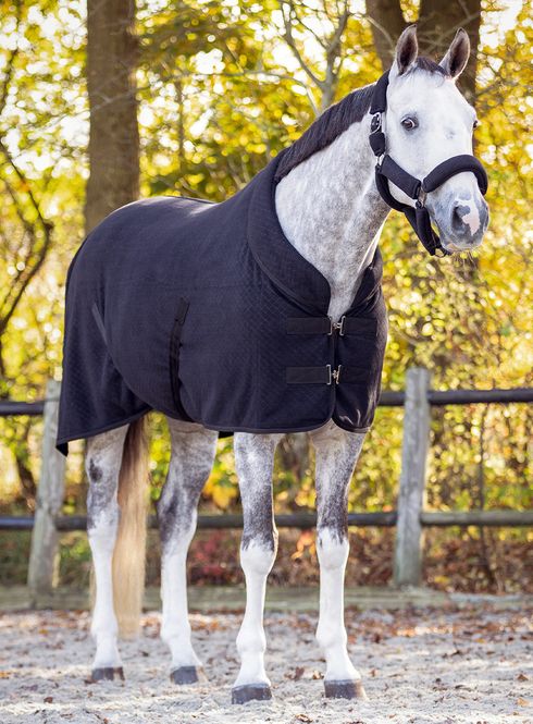 Hovedbilde Show Rug Zahra