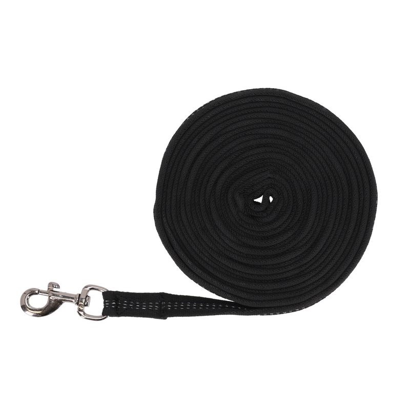 Lunging Line